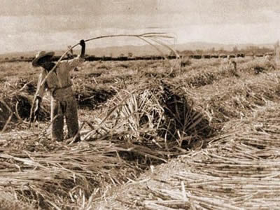 Luego de la superproducción cañera de 1926 derivó en una parálisis cañero industrial total en 1927, esto obligo a la intervención del Presidente de la Nación Marcelo T. de Alvear  y generando la creación de una Cámara Gremial provincial para el m